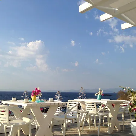 호텔 Nomia Hotel 3*