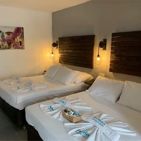 호텔 Nomia Hotel 3*